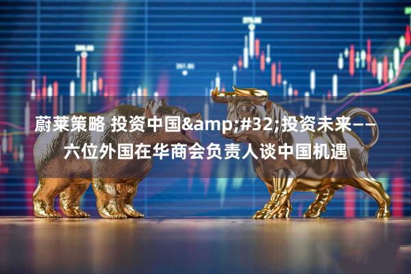 蔚莱策略 投资中国&#32;投资未来——六位外国在华商会负责人谈中国机遇