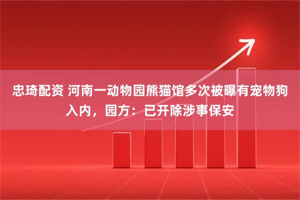 忠琦配资 河南一动物园熊猫馆多次被曝有宠物狗入内,园方:已开除涉事保安