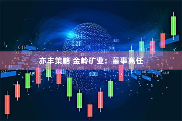 亦丰策略 金岭矿业:董事离任